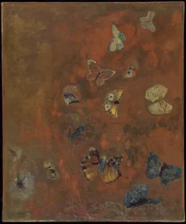 Evocation of Butterflies